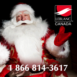 Leblanc Illuminations : Large sélection de décorations en stock!