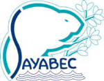 Municipalité de Sayabec