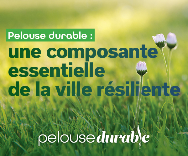 Pelouse durable : une composante essentielle de la ville résiliente